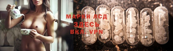 шишки Абаза