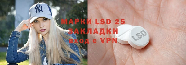 шишки Абаза
