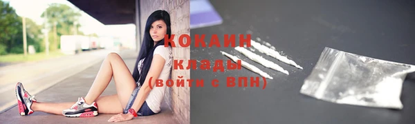 шишки Абаза
