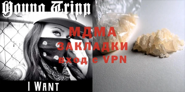 шишки Абаза