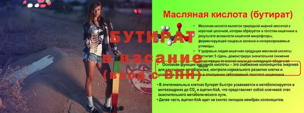 шишки Абаза